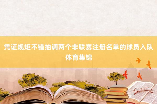 凭证规矩不错抽调两个非联赛注册名单的球员入队体育集锦