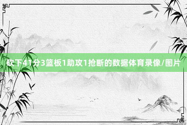 砍下41分3篮板1助攻1抢断的数据体育录像/图片