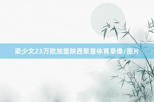 梁少文23万欧加盟陕西聚首体育录像/图片