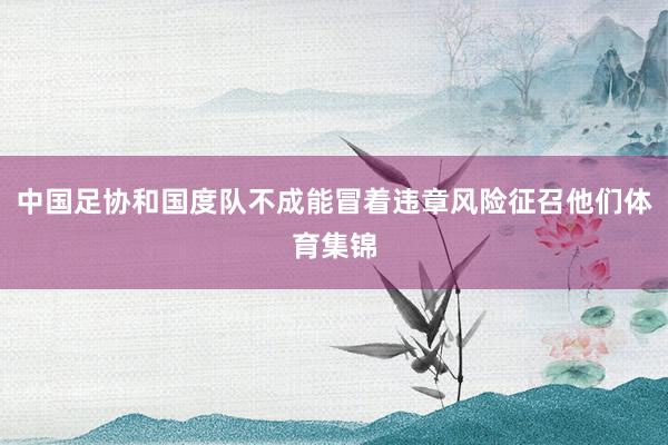 中国足协和国度队不成能冒着违章风险征召他们体育集锦