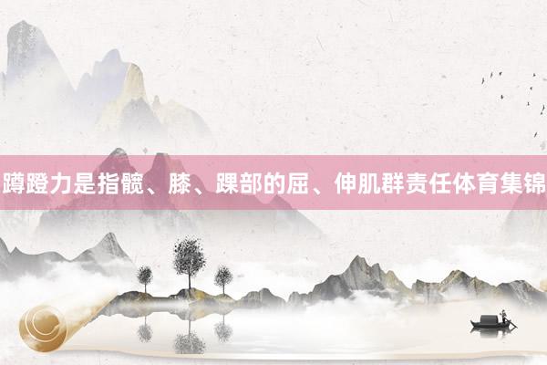 蹲蹬力是指髋、膝、踝部的屈、伸肌群责任体育集锦