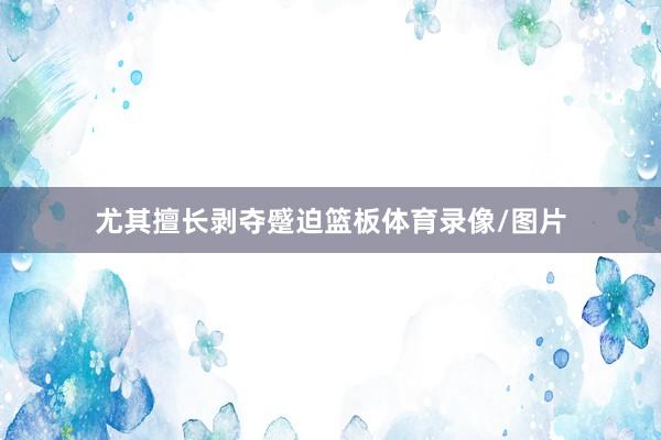 尤其擅长剥夺蹙迫篮板体育录像/图片
